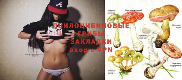 прущая мука Медвежьегорск