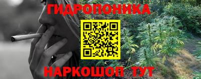 крисы Камышлов