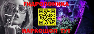 крисы Камышлов