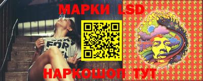 крисы Камышлов