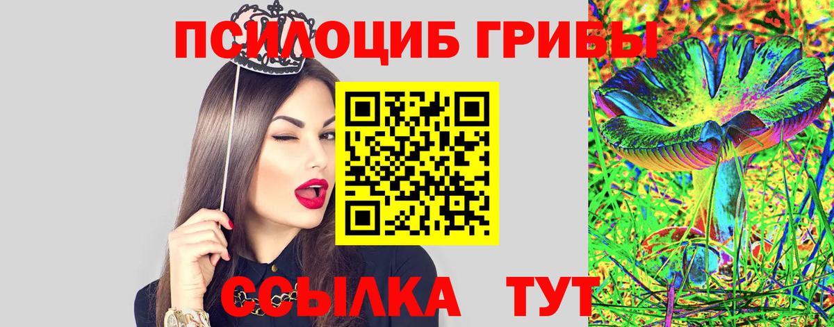 Галлюциногенные грибы GOLDEN TEACHER  Вход с VPN  купить   Галлюциногенные грибы Magic Shrooms  Люберцы 