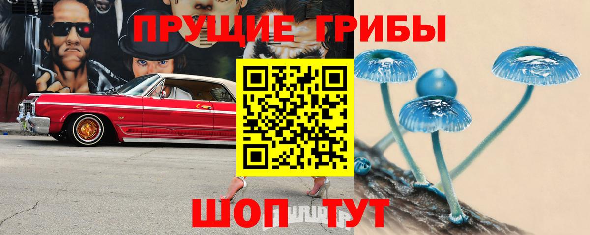 Псилоцибиновые грибы прущие грибы Люберцы